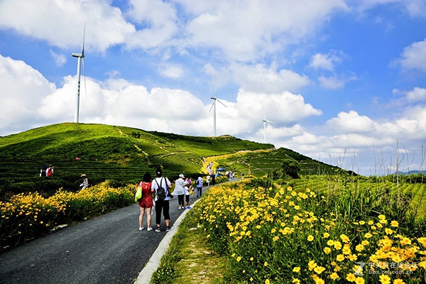 鄞州交接风车公路